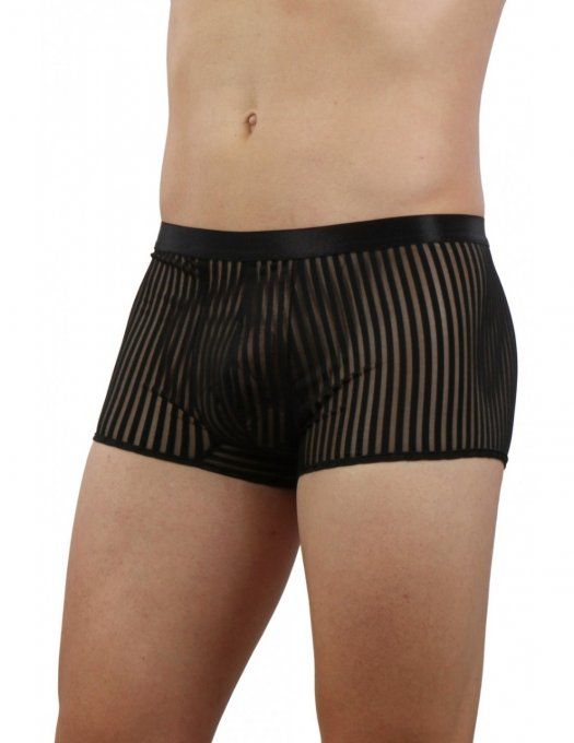 SPAZM - BOXER HOMME RAYE MICRO RESILLE TRANSPARENTE ET OPAQUE