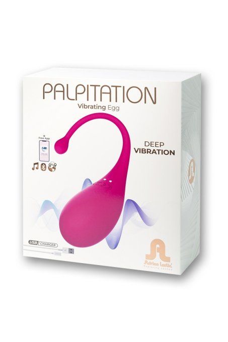 PALPITATION OEUF VIBRANT CONNECT TEL ANDROID/APPLE USB