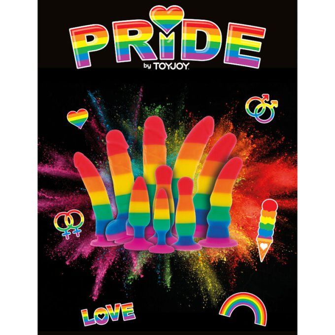PRIDE - PLUG DRAPEAU LGBT NAUGHTY BOYTOY 16 CM